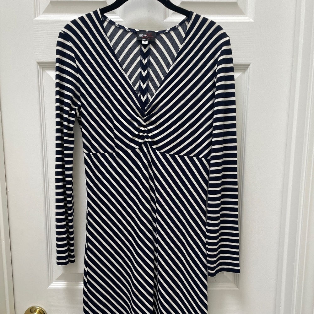 Andria Lieu Ladies dress